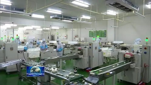 河南多措并舉促返崗助企業(yè)復(fù)工復(fù)產(chǎn) 保就業(yè)大局穩(wěn)定與飼料生產(chǎn)保障