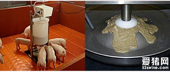 仔豬自動(dòng)化稀飼料制作系統(tǒng) 飼料生產(chǎn)的高效解決方案